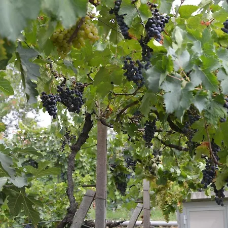 Cascina Graziosa *