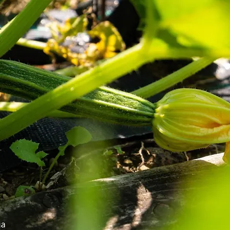 Farma Cascina Graziosa Lonato