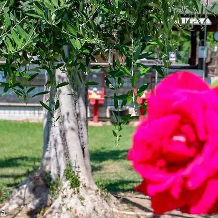Agriturismo Cascina Graziosa *